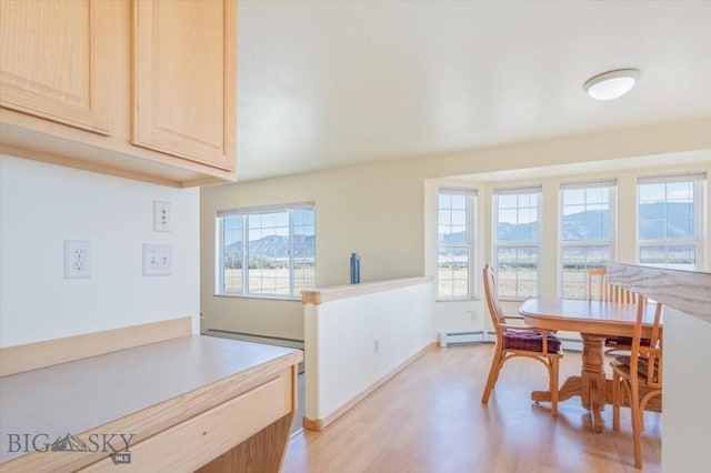 285 Mt Highway 55, Whitehall, MT 59759 - dining room featuring baseboard heating, a wealth of natural light, and light wood finished floors