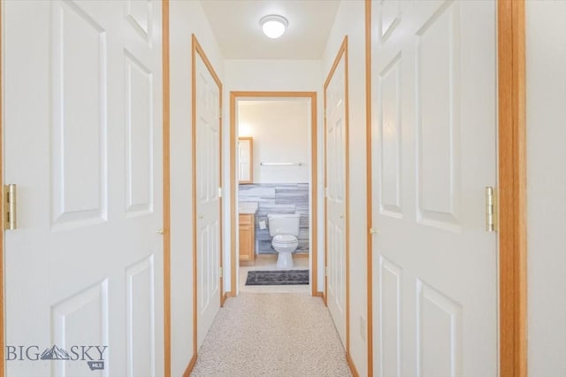 285 Mt Highway 55, Whitehall, MT 59759 - corridor featuring baseboards