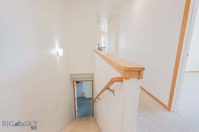 285 Mt Highway 55, Whitehall, MT 59759 - stairs with carpet floors