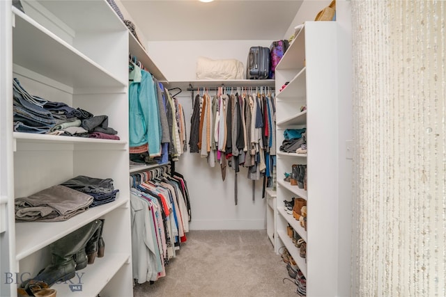 spacious closet with light colored carpet