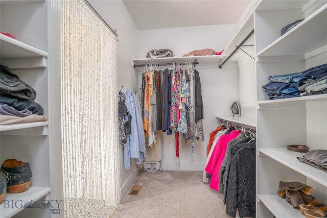 spacious closet with light colored carpet