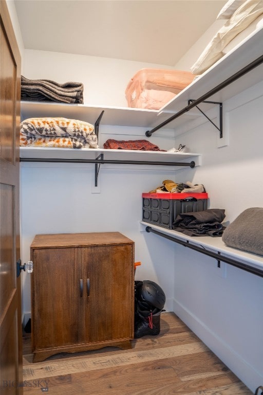 walk in closet with light wood-type flooring