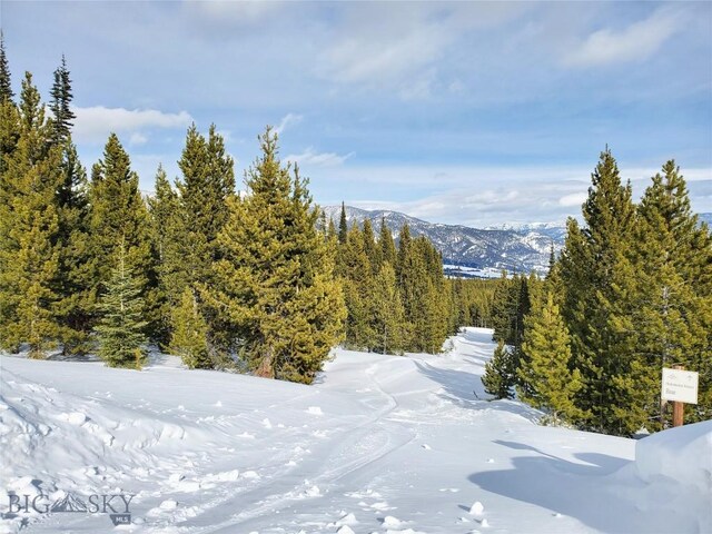 Listing photo 2 for 67 Goshawk Trl, Big Sky MT 59716