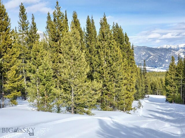 Listing photo 3 for 67 Goshawk Trl, Big Sky MT 59716