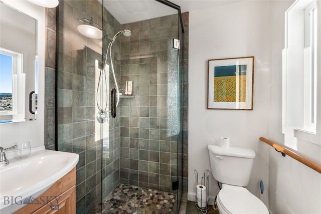 bathroom featuring a shower with door, vanity, and toilet