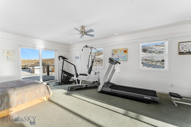 exercise area featuring ceiling fan and carpet