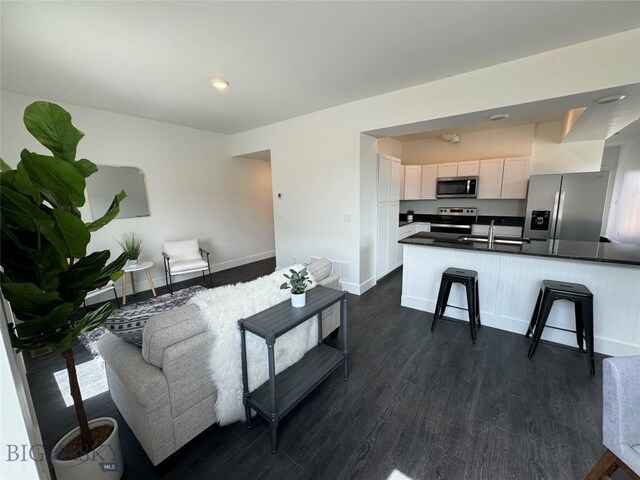 living room featuring dark hardwood / wood-style flooring and sink