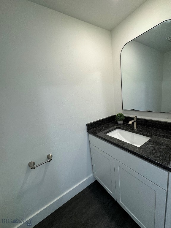 bathroom with hardwood / wood-style flooring and vanity