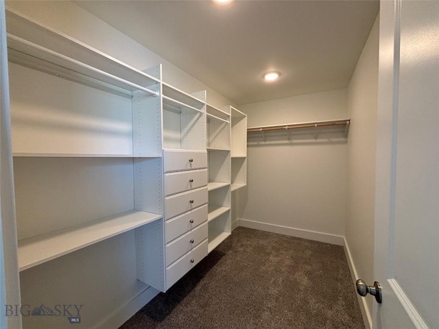 walk in closet featuring dark colored carpet