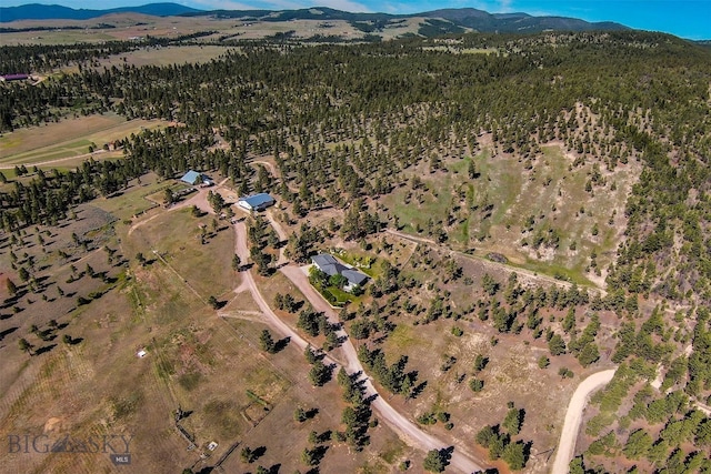 aerial view with a mountain view
