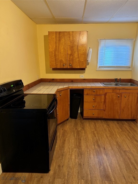 kitchen with a drop ceiling, light hardwood / wood-style floors, black electric range oven, and sink