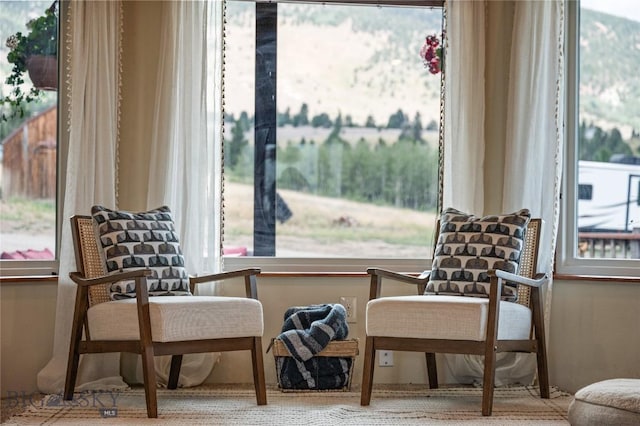 310 Highpark Dr, Anaconda, MT 59711 - view of sitting room
