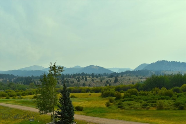 TBD Rainey Mountain Rd, Polaris, MT 59746