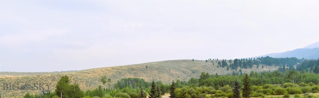 TBD Rainey Mountain Rd, Polaris, MT 59746