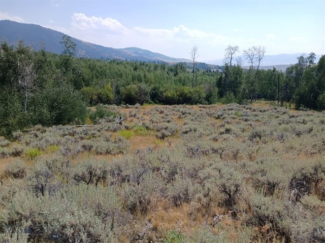 TBD Rainey Mountain Rd, Polaris, MT 59746