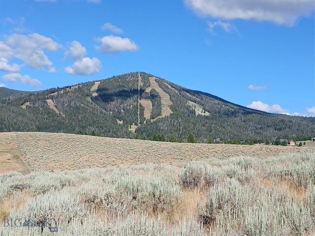 TBD Rainey Mountain Rd, Polaris, MT 59746