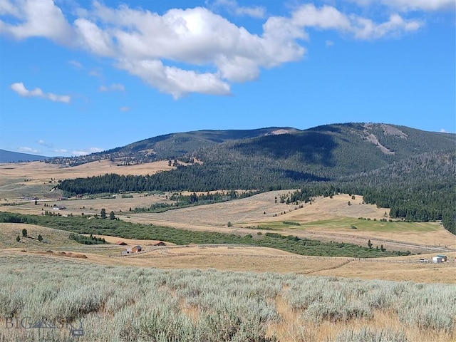 TBD Rainey Mountain Rd, Polaris, MT 59746