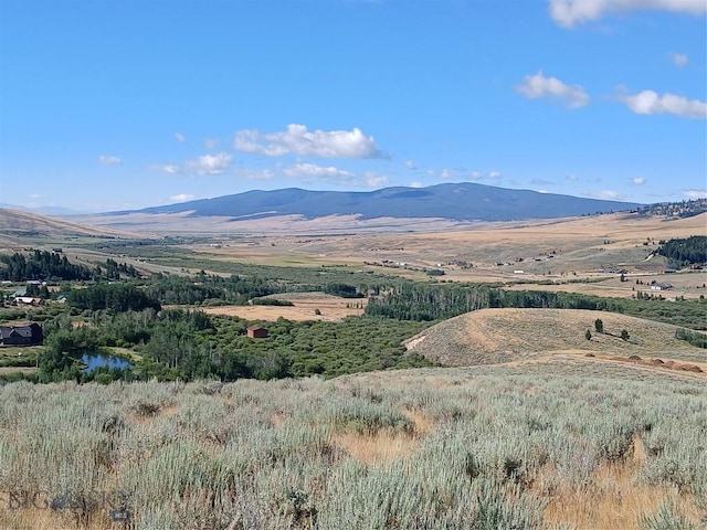 TBD Rainey Mountain Rd, Polaris, MT 59746