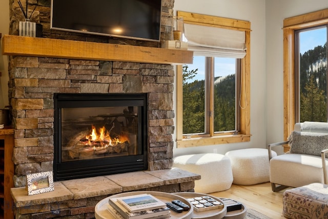 living room with wood-type flooring and a stone fireplace