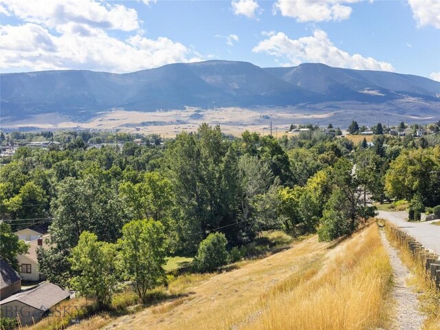 TBD W Gallatin St, Livingston, MT 59047 - photo 3