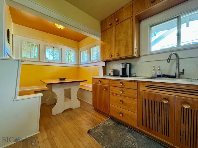 kitchen with sink and light hardwood / wood-style flooring