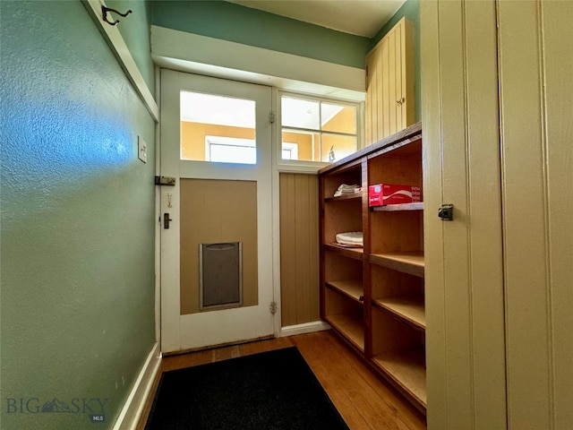 entryway with wood-type flooring