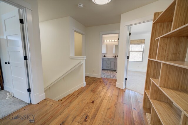 hall featuring light hardwood / wood-style floors