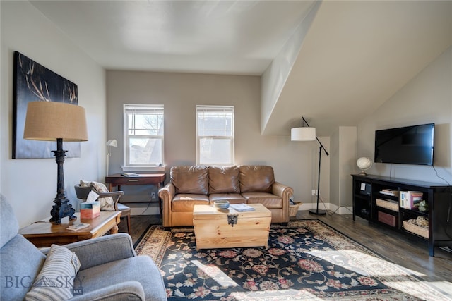 living room with dark hardwood / wood-style flooring