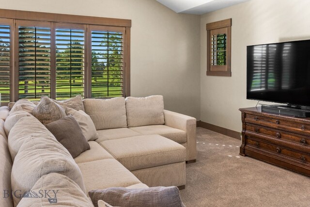 carpeted living room featuring a healthy amount of sunlight