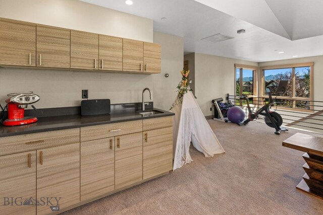 kitchen with light carpet and sink