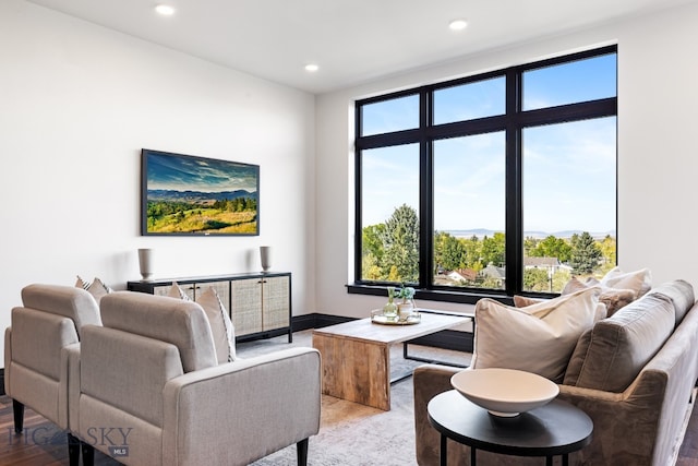 living room with hardwood / wood-style floors and plenty of natural light