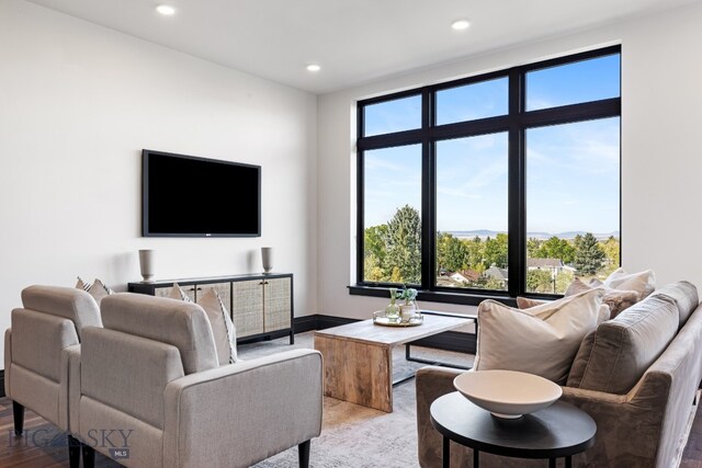 living room with hardwood / wood-style flooring