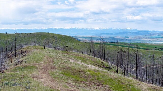LOT119 Pioneer Rd, Clarkston, MT 59752