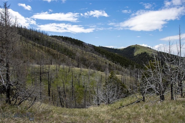 LOT119 Pioneer Rd, Clarkston, MT 59752