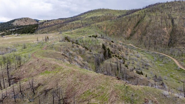 LOT119 Pioneer Rd, Clarkston, MT 59752
