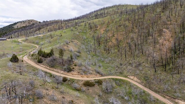 LOT119 Pioneer Rd, Clarkston, MT 59752