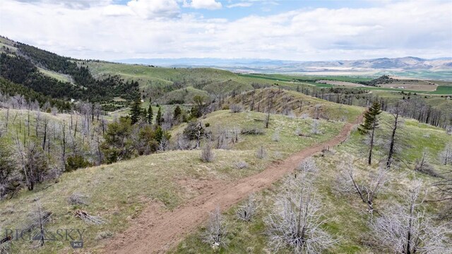 LOT119 Pioneer Rd, Clarkston, MT 59752