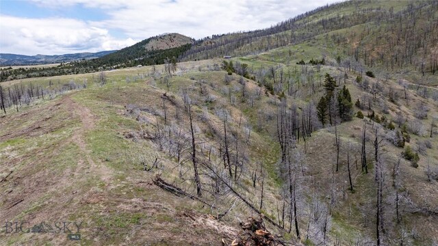 LOT119 Pioneer Rd, Clarkston, MT 59752
