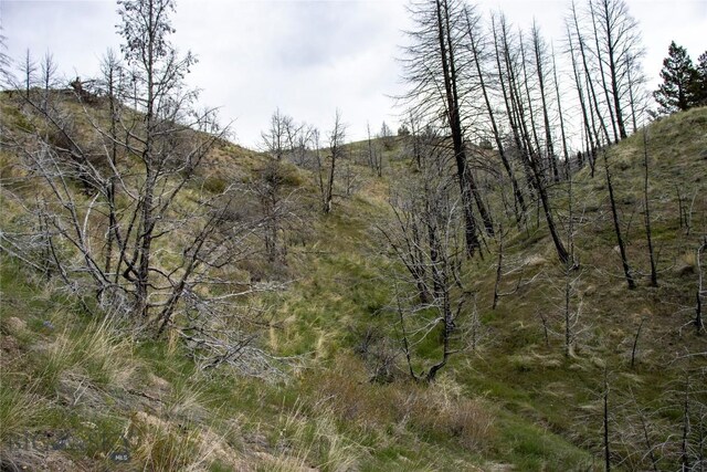 LOT119 Pioneer Rd, Clarkston, MT 59752