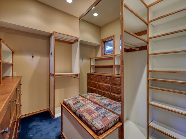 spacious closet with dark carpet