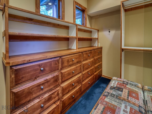 spacious closet featuring dark colored carpet