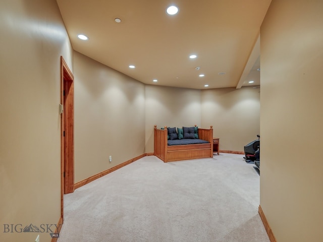 living area with light carpet