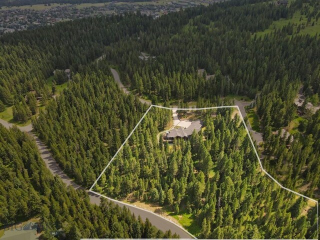 3686 Pinewood Dr, Big Sky, MT 59716 - aerial view of property's location with a forest and property boundaries highlighted