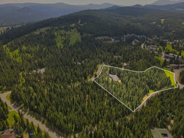 bird's eye view with a mountain view