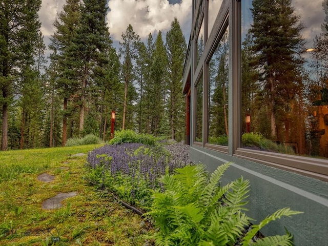 3686 Pinewood Dr, Big Sky, MT 59716 - view of yard