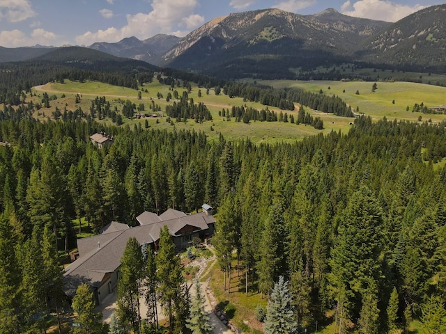 bird's eye view featuring a mountain view