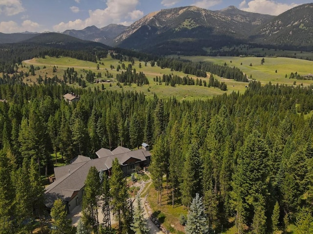 3686 Pinewood Dr, Big Sky, MT 59716 - mountain view with a heavily wooded area