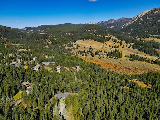 drone / aerial view featuring a mountain view