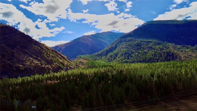 NHN River Rd W, Plains, MT 59859