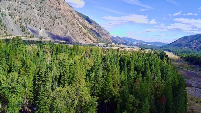 NHN River Rd W, Plains, MT 59859